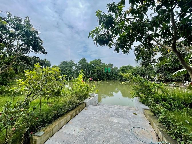 Hình ảnh Danh sách biệt thự Vinhomes Riverside cho thuê mới nhất 10/2023