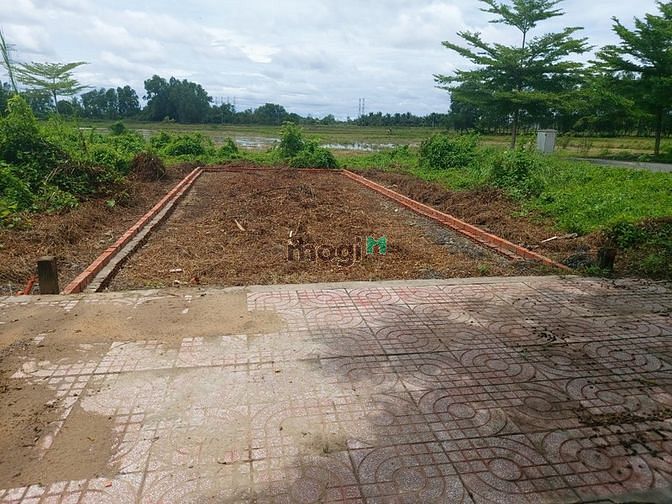 Hình ảnh Thu hồi vốn gấp,cần bán gấp đất ngay cầu Láng Ven. Sổ hồng riêng