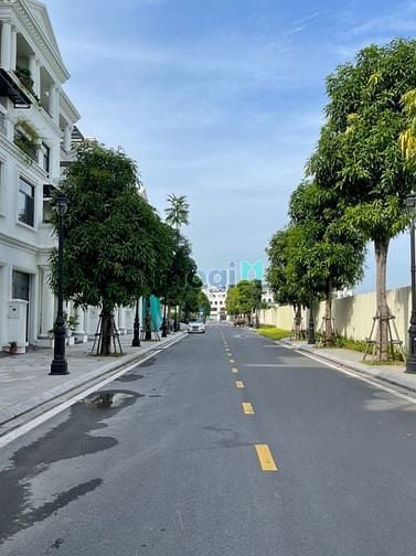 Hình ảnh Cho thuê Trang Chủ MB66.COM / Đăng Ký Tặng 66K Vinhomes Marina - Cầu Rào 2 - Phòng studio -