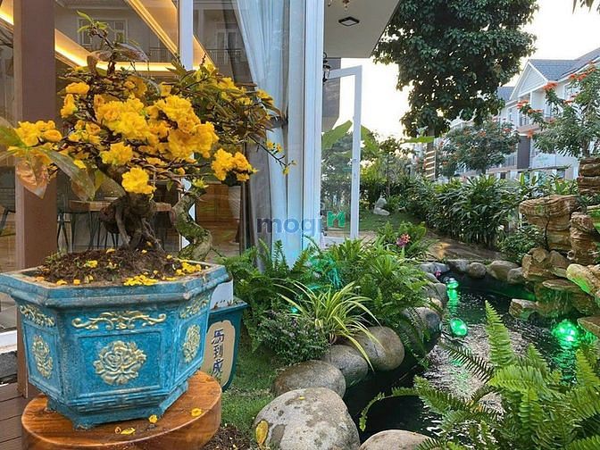 Hình ảnh BDS HVL Căn Shophouse góc 2MT 149m2 đất 30/09/2023