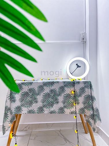 Hình ảnh cho thuê Trang Chủ MB66.COM / Đăng Ký Tặng 66K 2pn, 1pk và bếp