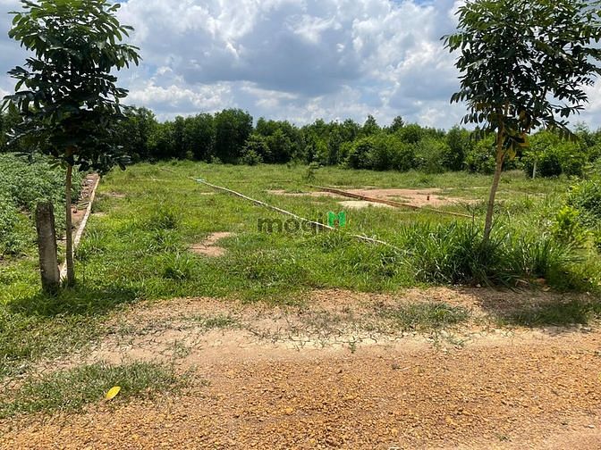 Hình ảnh bán đất nền giá rẻ tại trung hòa trảng bom