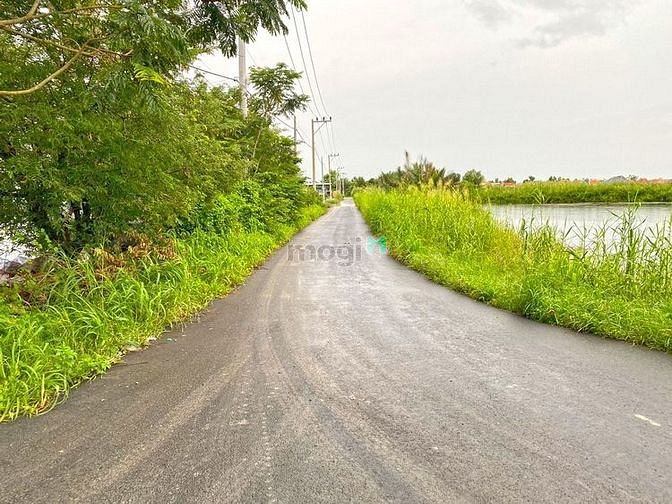 Hình ảnh Cần Tiền Bán Gấp Lô Đất Vườn 1600M2 XÃ BÌNH KHÁNH HUYÊN CẦN GIỜ.