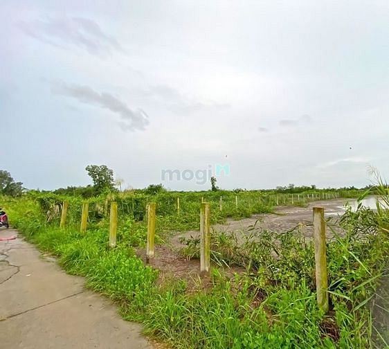 Hình ảnh Cần Tiền Bán Gấp Lô Đất Vườn 1600M2 XÃ BÌNH KHÁNH HUYÊN CẦN GIỜ.