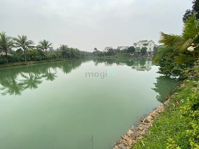 Hình ảnh Cho thuê Biệt thự Đơn lập Bằng Lăng Vinhomes Riverisde Vip nhất