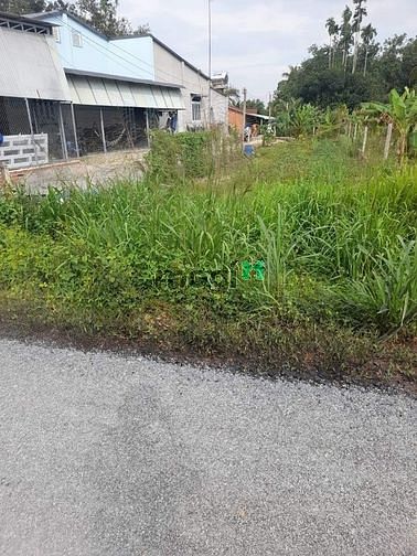 Hình ảnh Đất thổ cư 290m2, ngay Ấp Cây Da, Gò Dầu, Giá cực tốt 450 Triệu, SHR.