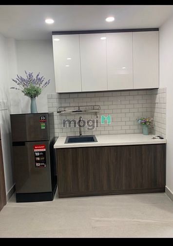 Hình ảnh CH Full NT Cô Bắc Q1_Phố Đi Bộ_ĐH Văn Lang_Dinh Độc Lập_Thảo Cầm Viên