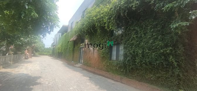 Hình ảnh Cho thuê biệt thự sân vườn ở Ba Đình, nhà 350m*3 tầng + sân vườn 500m
