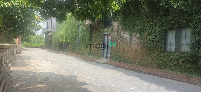 Hình ảnh Cho thuê biệt thự sân vườn ở Ba Đình, nhà 350m*3 tầng + sân vườn 500m