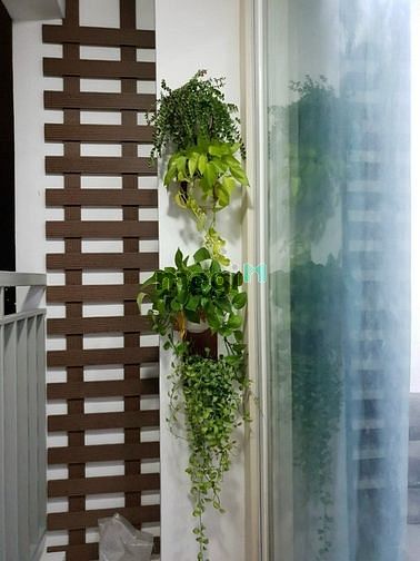 Hình ảnh CỘNG HÒA GARDEN - 75 m2 - 2 PN -Chỉ 14 Tr/tháng - Đủ tiện nghi -