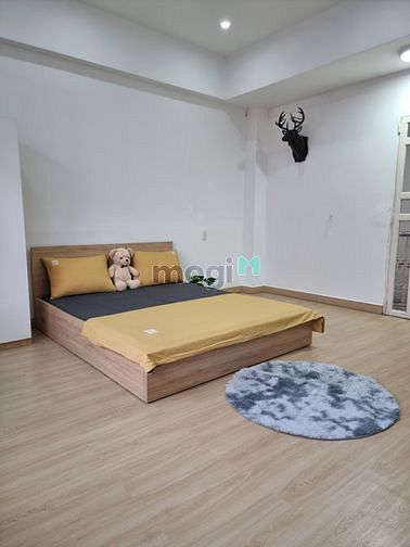 Hình ảnh 🔥Khai Trương Hệ thống  Studio Mới keng Gần Công Viên Gia Định,Sân Bay