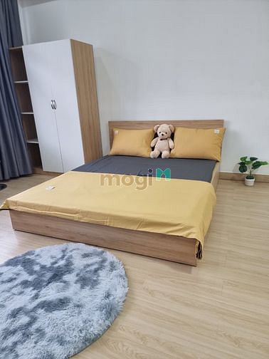 Hình ảnh 🔥Khai Trương Hệ thống  Studio Mới keng Gần Công Viên Gia Định,Sân Bay