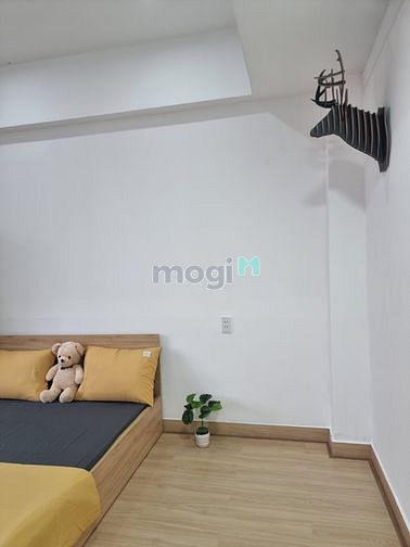 Hình ảnh 🔥Khai Trương Hệ thống  Studio Mới keng Gần Công Viên Gia Định,Sân Bay