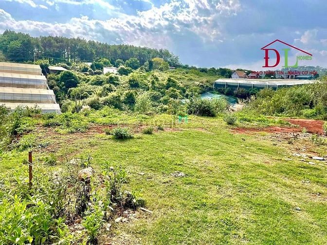 Hình ảnh Bán đất 2 mặt tiền hẻm Măng Lin phường 7 Đà Lạt hợp nghỉ dưỡng MN3276