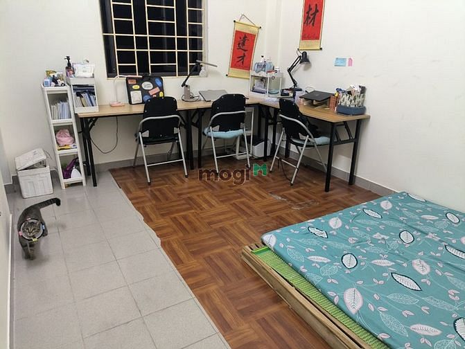 Hình ảnh Cho thuê 1 phòng trong chúng cư X2