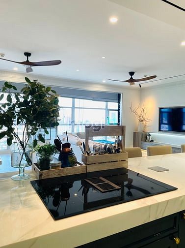 Hình ảnh Cho Thuê Căn Hộ Penthouse Happy Valley - Phú Mỹ Hưng