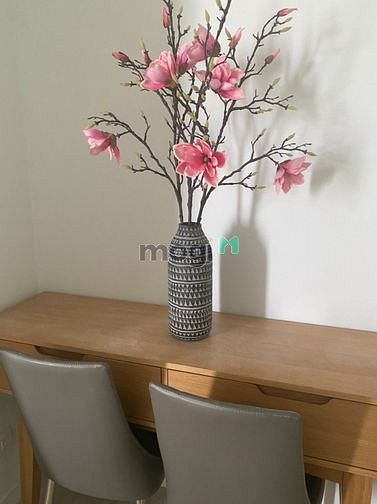 Hình ảnh cho thuê Trang Chủ MB66.COM / Đăng Ký Tặng 66K chung cư Sala Sadora Q2, 3pn, full nt, 120m, 30tr