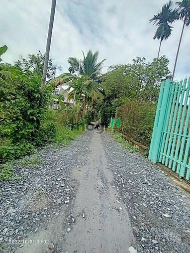 Hình ảnh Đất NGỘP. Tp Thuận An, Bình Dương DT: 79m2 có giá chỉ 530tr