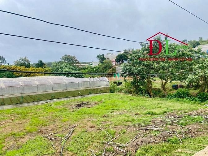 Hình ảnh Bán đất Hùng Vương phường 11 Đà Lạt có view thoáng yên tĩnh - MN3237