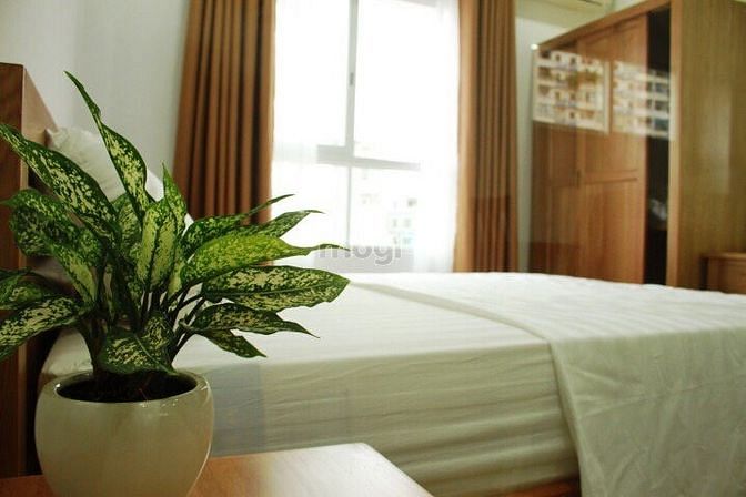 Hình ảnh CHDV Full Nội Thất Sát ĐH Kinh Tế UEH , ĐH Y DƯỢC Ngay ngã 6 NT Phương