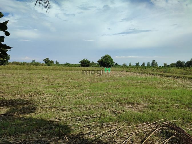 Hình ảnh ✅ 2 Sào - 1 Tỷ đất Phú Bình, Tân Phú, Đồng Nai