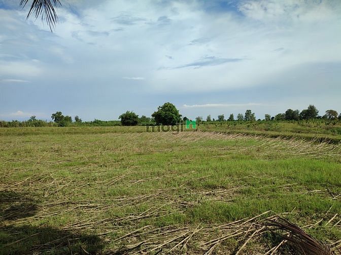 Hình ảnh ✅ 2 Sào - 1 Tỷ đất Phú Bình, Tân Phú, Đồng Nai