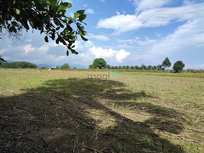 Hình ảnh ✅ 2 Sào - 1 Tỷ đất Phú Bình, Tân Phú, Đồng Nai