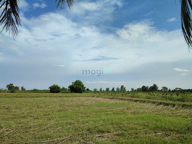 Hình ảnh ✅ 2 Sào - 1 Tỷ đất Phú Bình, Tân Phú, Đồng Nai