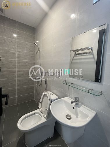 Hình ảnh Khai Trương Căn Hộ , Có Hầm xe , Thang Máy Bao Phí . Khu Đảo Kim Cương