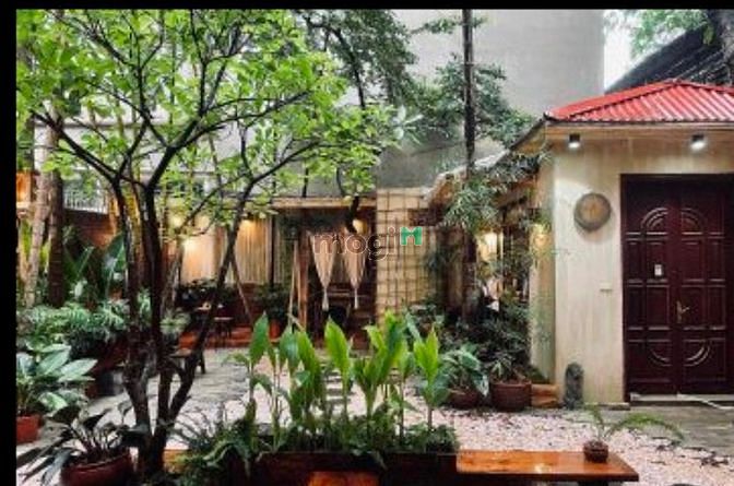 Hình ảnh Cho thuê Biệt Thự căn góc mặt tiền Phạm Ngọc Thạch, Quận 3.