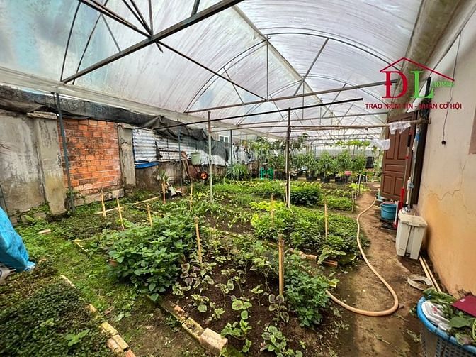 Hình ảnh Bán đất Hùng Vương phường 10 Đà Lạt thích hợp Trang MB66.COM Chính Thức - MB 66 Uy Tín lưu trú - MN3155