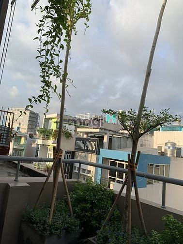 Hình ảnh MTKD VƯỜN CHUỐI  -  q3 - khu sa hoa