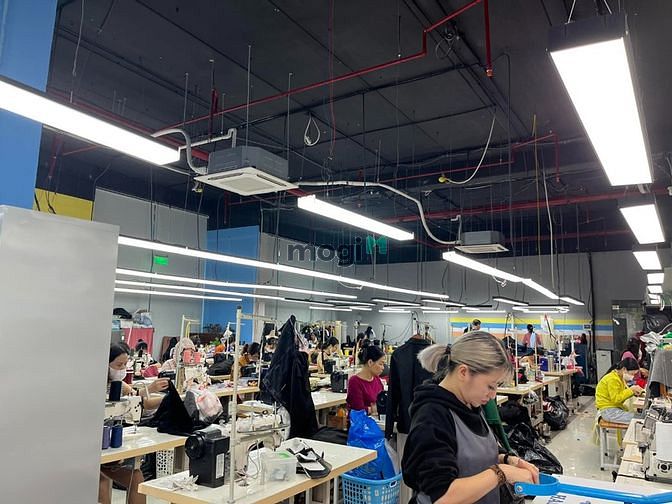 Hình ảnh BÁN GẤP 3000M2 Đất TMDV Hoàng Mai, 90 TỶ
