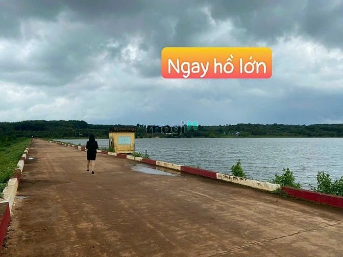 Hình ảnh [ ĐẤT NGỘP GIẢM HƠN 50% ] Bán Gấp Đất Mặt Tiền, Sổ Sẵn Bình Phước