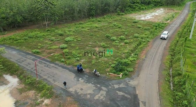 Hình ảnh [ ĐẤT NGỘP GIẢM HƠN 50% ] Bán Gấp Đất Mặt Tiền, Sổ Sẵn Bình Phước
