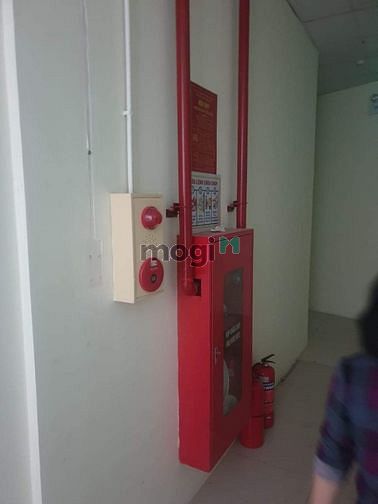 Hình ảnh Mặt phố Liễu Giai, Ba Đình 630m2, 12 tầng, nhỉnh: 200 tỷ, mt: 20m, góc