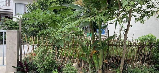 Hình ảnh Bán đất mặt đường ngõ 5 bãi muối thông lideco,cao thắng,hạ long,quảng
