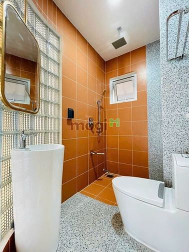 Hình ảnh Siêu phẩm có thang máy, gara ô tô Gò Vấp