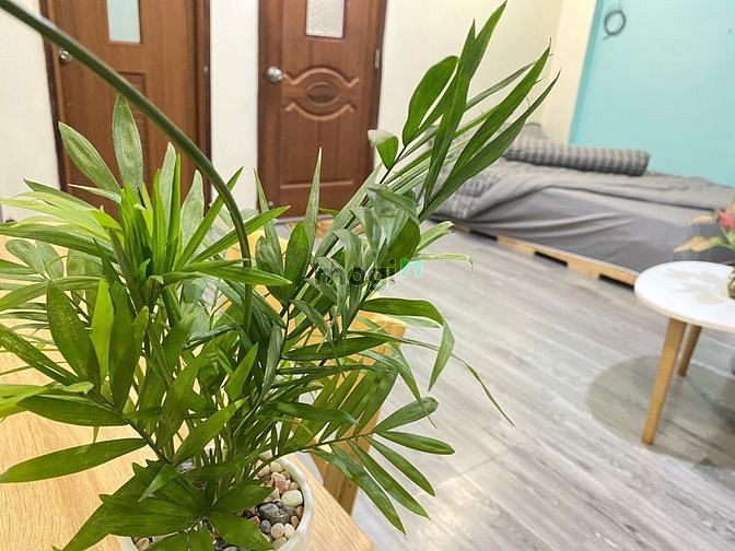 Hình ảnh 🏠 Studio Full Nội Thất+ bancon cách Sân Bay Tân Sơn Nhất 8 Phút