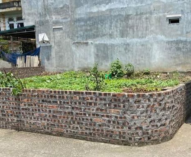 Hình ảnh Bán gấp mảnh đất đẹp   PHỐ THẠCH BÀN - Long Biên