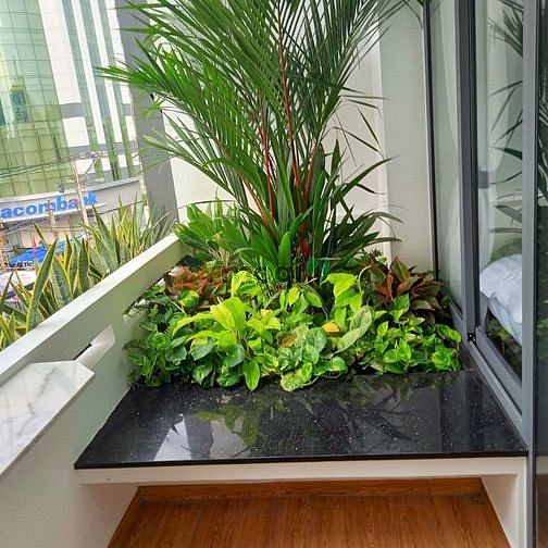 Hình ảnh Mb6623 nạp rút nhanh chóng 50m2 1pn Lê Văn Sỹ Q3 (gần cầu Lê Văn Sỹ)