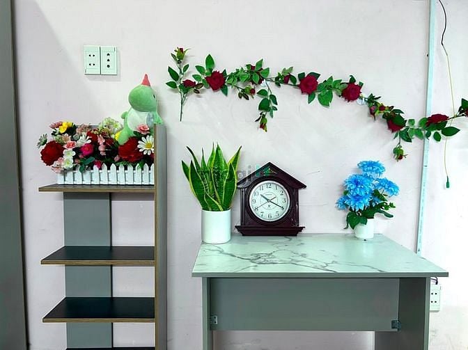 Hình ảnh Duplex Sân Sau Full NT Thoáng Ngay Chợ Hoàng Hoa Thám Tân Bình