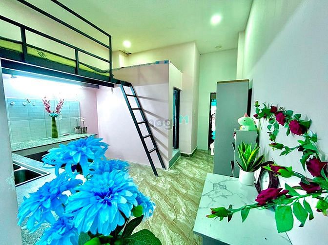 Hình ảnh Duplex Sân Sau Full NT Thoáng Ngay Chợ Hoàng Hoa Thám Tân Bình