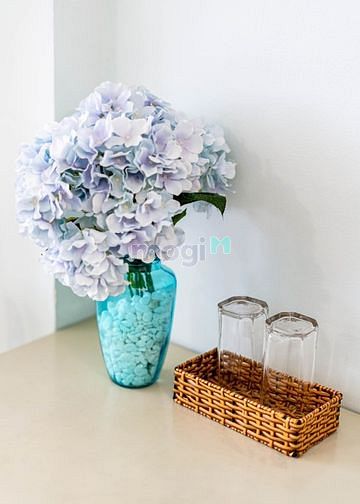 Hình ảnh CHDV Nguyễn Trãi Quận 1 full nội thất cửa sổ