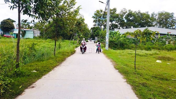 Hình ảnh Đất Mặt Tiền Bàu Muồng Cách DT824 7 Mét, 185m2, Sổ Riêng, Vị Trí Đẹp