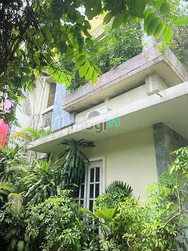 Hình ảnh Cho thuê Biệt thự hẻm xe hơi 12m đường Trần Nhật Duật