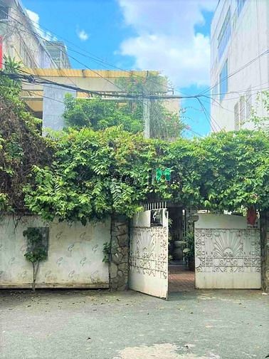 Hình ảnh Cho thuê Biệt thự hẻm xe hơi 12m đường Trần Nhật Duật