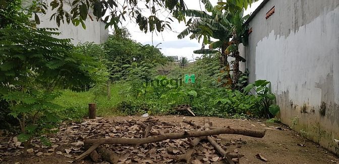 Hình ảnh Đất thổ cư đường nhựa khu Phạm Văn Sáng, sổ riêng, 5m x 21m, 3.98 tỷ