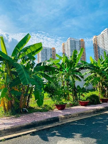 Hình ảnh Em Nhi môi giới Quận 2, Chủ gửi nhiều lô đẹp KDC Văn Minh giá tốt ạ