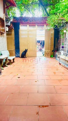 Hình ảnh Biệt thự 5 tầng 750 m2 sử dụng,  28 tỷ TL